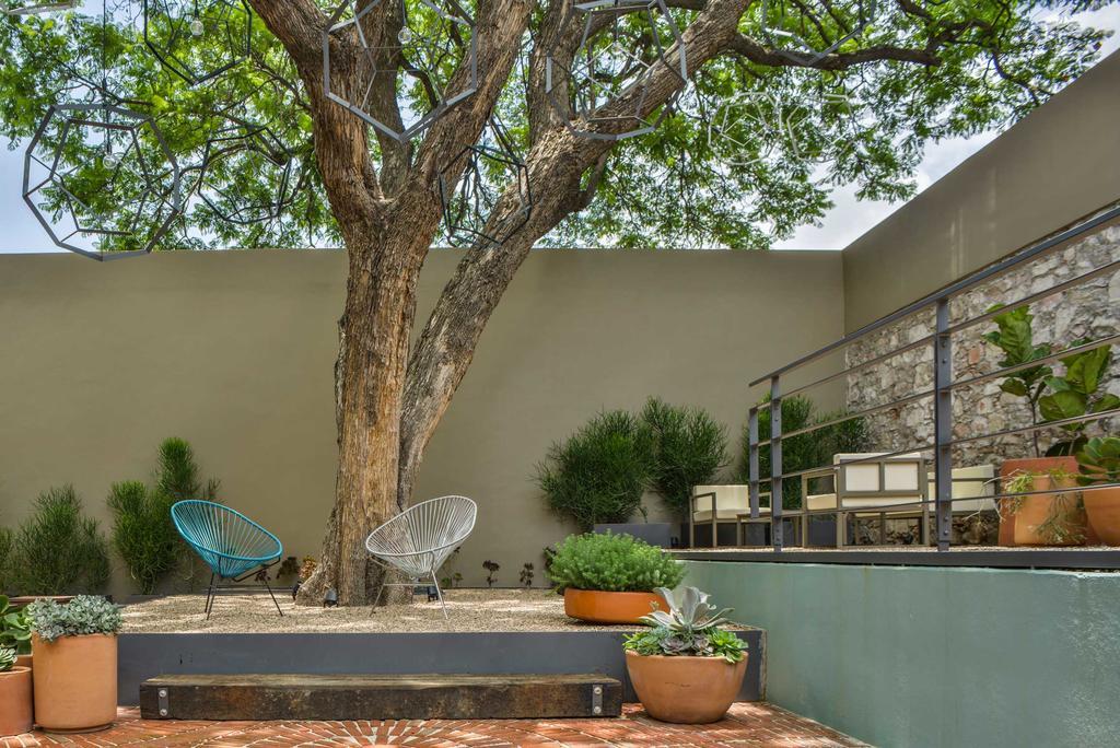 Hotel Criol Querétaro Εξωτερικό φωτογραφία A contemporary garden in Austin, Texas