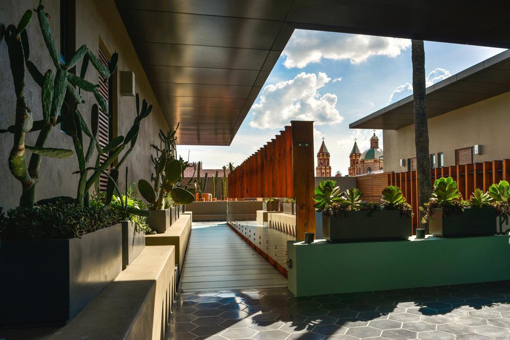 Hotel Criol Querétaro Εξωτερικό φωτογραφία The rooftop garden